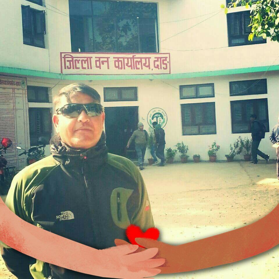 पर्वत पाण्डे